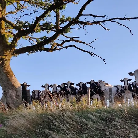 La Ferme Oubliee 펜션 *