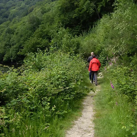 Feriehus La Ferme Oubliee