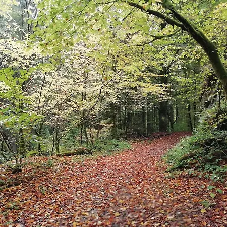 La Ferme Oubliee Feriehus Paliseul