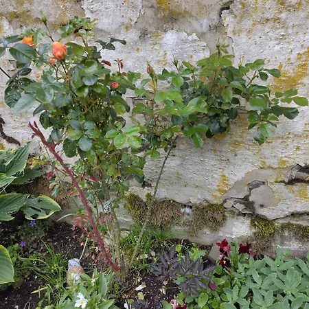 La Ferme Oubliee 펜션 *